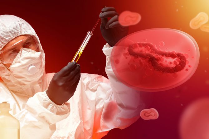 Monkeypox, majmunske boginje Monkeypox, majmunske boginje