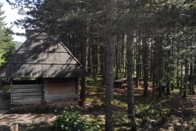 Zlatibor niska koncentracija polena