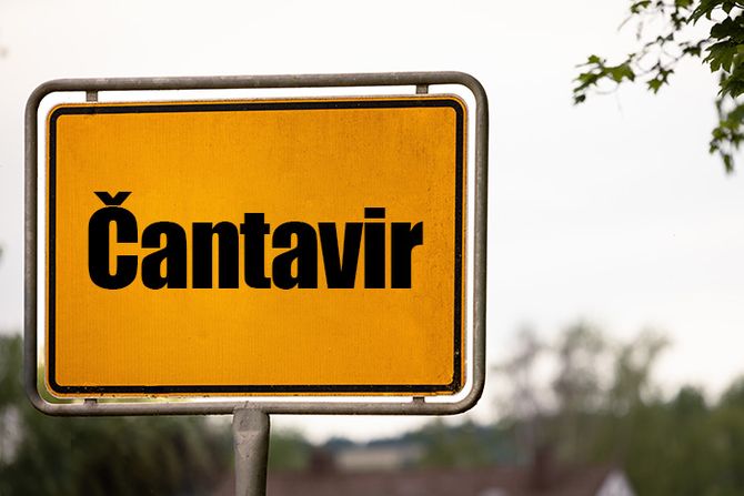 Čantavir