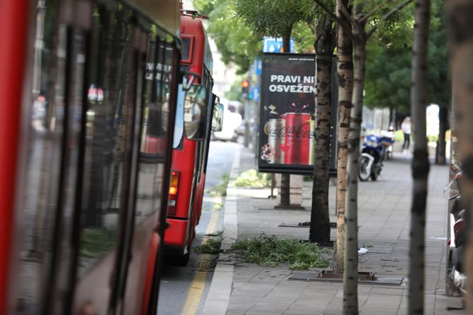 Trolejbus Kralja Milana Trolejbus Kralja Milana
