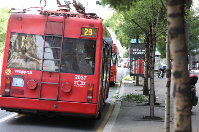 Trolejbus Kralja Milana