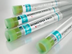 Monkeypox, majmunske boginje