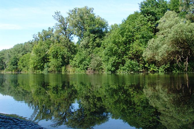 Gornje Podunavlje