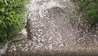 Veliko nevreme na severu Crne Gore: Grad tuče u okolini Bijelog Polja, a u Podgorici 52 stepena Celzijusa