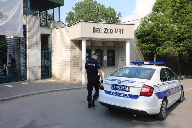 Zoo vrt, dojava o bombi