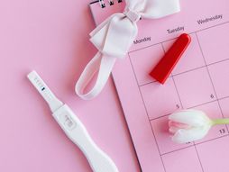 Trudnoća, test za trudnoću