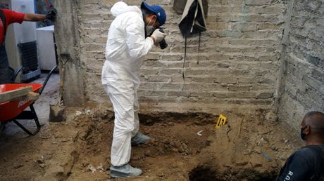 Meksiko ubistvo forenzika