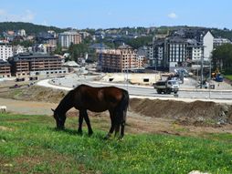 Zlatiborski kontrasti, konj, hiper gradnja