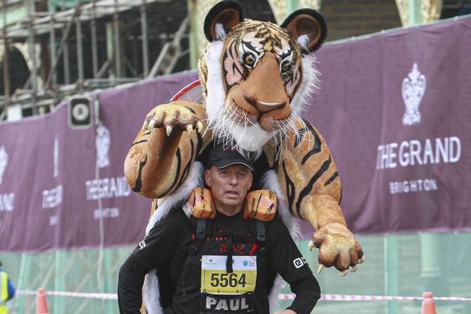 Paul Goldstein tigar Paul Goldstein tigar