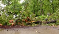 Trees snapped like toothpicks: Photos of consequences of severe storm that roared through Slovenia