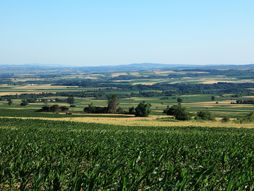 Veliko Gradište, sela