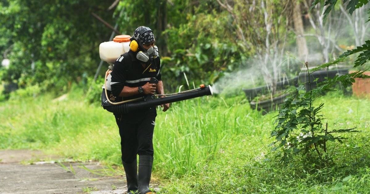 Beograd: Počeli tretmani suzbijanja larvi komaraca na javnim površinama