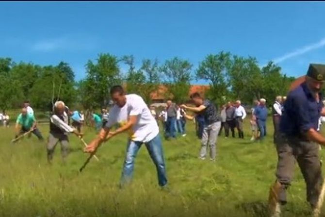 Kriva Reka, Zlatibor, košenje