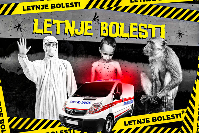 LETNJE BOLESTI, majmunske boginje, malarija komarci