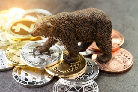Bear market of crypto concept