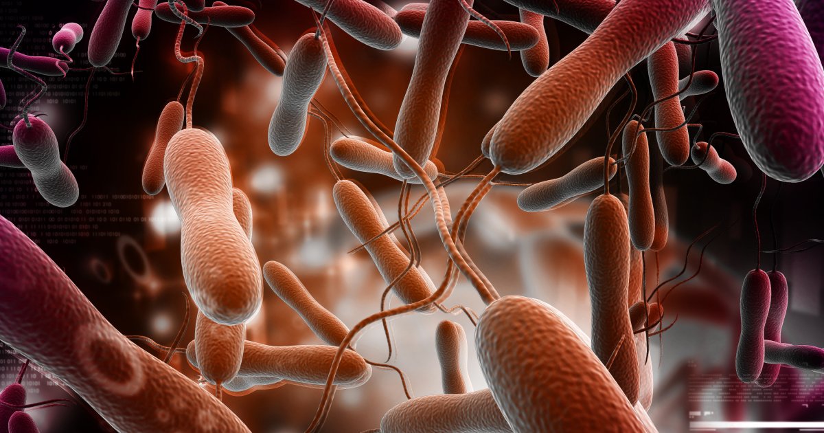 Doktorka o koleri i da li je Srbija na udaru Simptom nagla dijareja