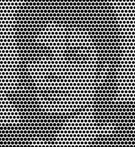 Optička iluzija Gustav Kuhn