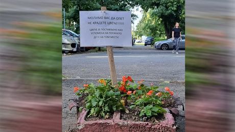 Snezana Bojovic blok 45