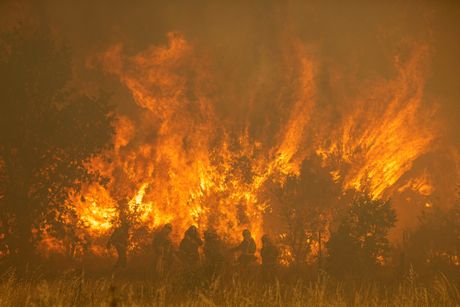 Španija šumski požari