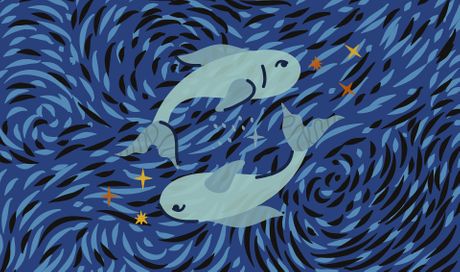 Ribe letnji horoskop horoskop astrologija Zodijak Ribe letnji horoskop horoskop astrologija Zodijak