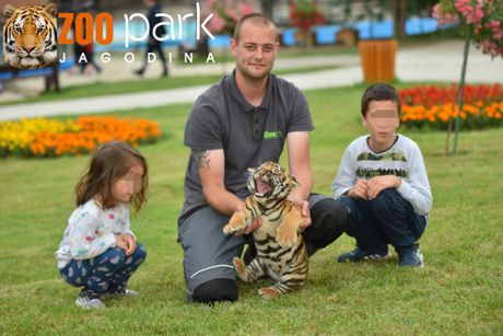 Tigrić Zoo Vrt - Jagodina