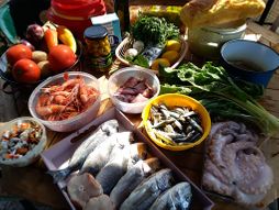 darovi mora, večera, recepti