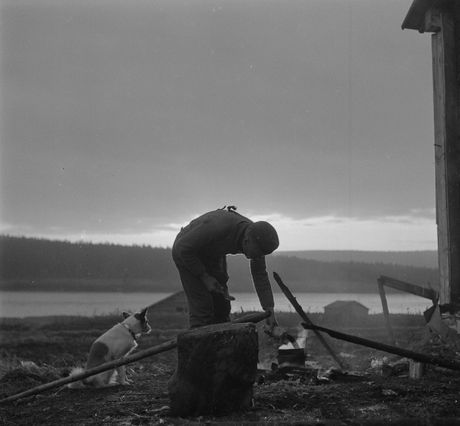 Finska, Finska istorija, Laponski rat Finska, Finska istorija, Laponski rat