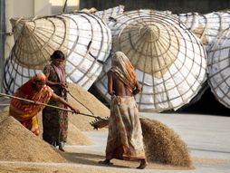 Bangladeš, pirinač