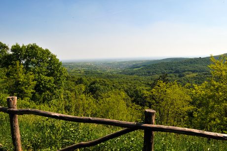 Fruška gora