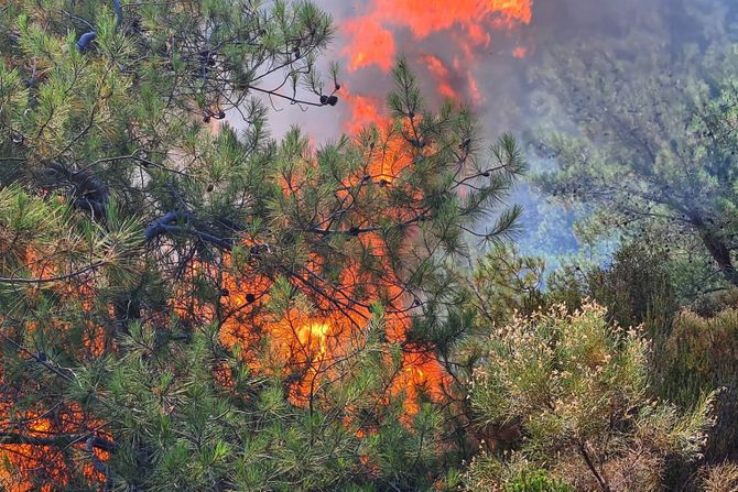 Turska Marmaris šumski požar