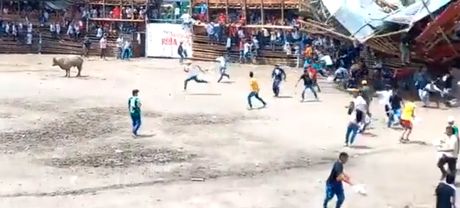 Kolumbija,  srusila se tribina tokom borbe bikova