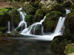 Veliko vrelo, Despotovac