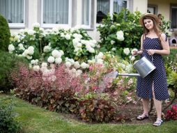 Zalivanje cveća, cveće, polivanje