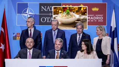 NATO samit, Madrid ruska salata