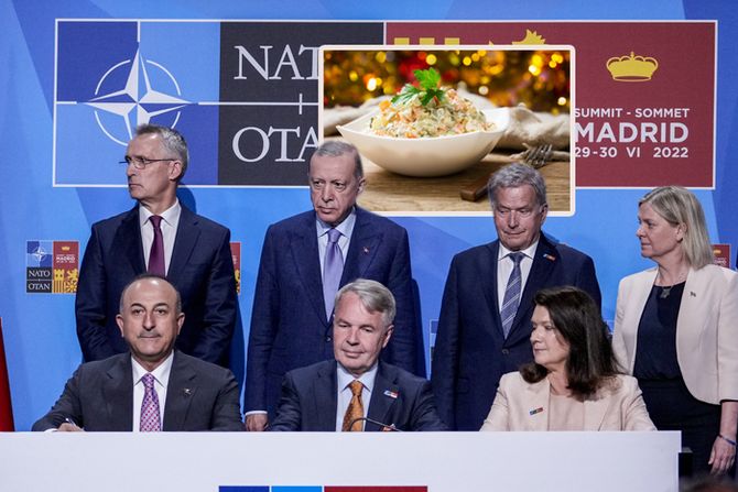 NATO samit, Madrid ruska salata