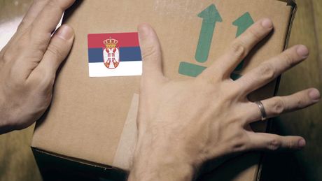 spoljnotrgovinska robna razmena Srbije