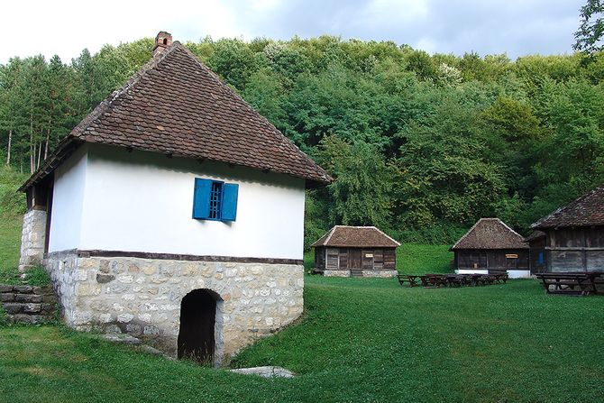 Tršić Tršić