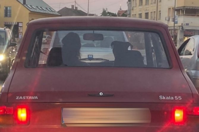 Žena i pas u autu Žena i pas u autu