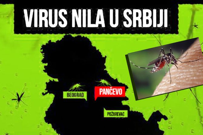 Virus Zapadnog Nila u Srbiji, komarac, komarci, grafika Pančevo, Beograd, Požarevac Zapadni Nil