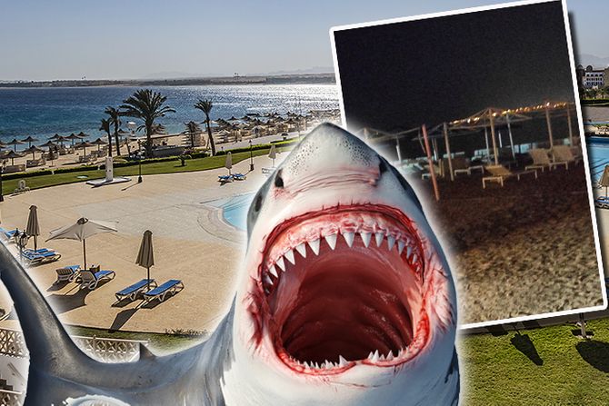 Egipat Hurgada Sahl Hašiš Egypt Sahl Hasheesh ajkula napad 2 Egipat Hurgada Sahl Hašiš Egypt Sahl Hasheesh ajkula napad 2