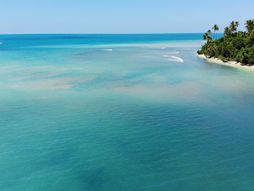 plaže, plaža, more