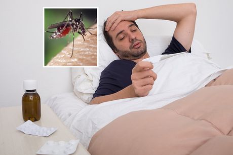 Bolestan čovek, komarac
