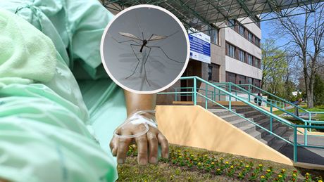 Opšta bolnica Požarevac, žena u bolnici oko 46 godina i komarac