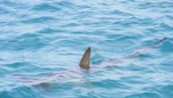Dečak u Jadranskom moru ulovio ajkulu dugu tri metra: Zabacio udicu i upecao neman