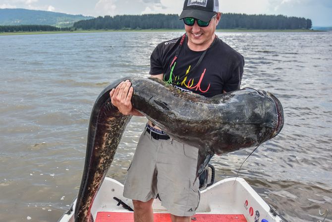 som, slavko arsić som, slavko arsić