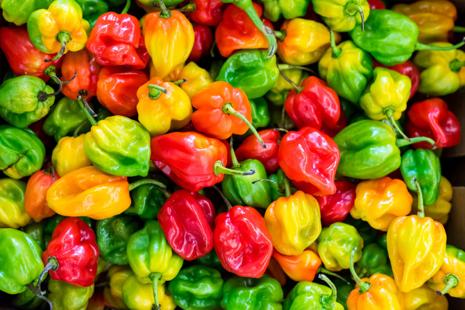 Paprika Paprika