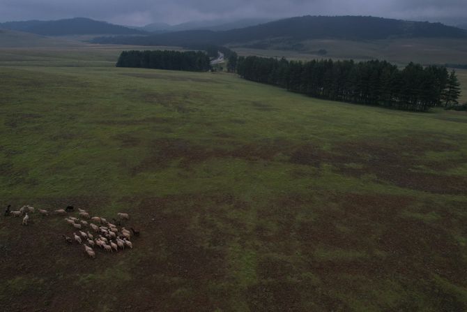 70 hektara zemlje na Zlatiboru je u vlasništvu manastira Hilandara