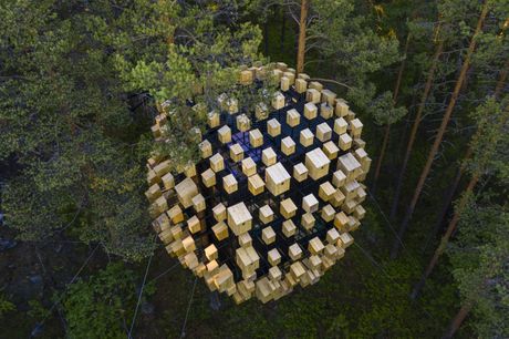 Jedinstvena hotelska soba u krošnjama drveća okružena je sa 350 kutija za ptice