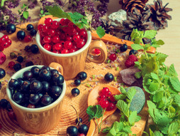 ribizla, voce, crna ribizla, crvena ribizla