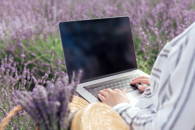 lavanda